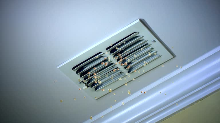Best Ventilation Cleaning Services  in Richmond, IN